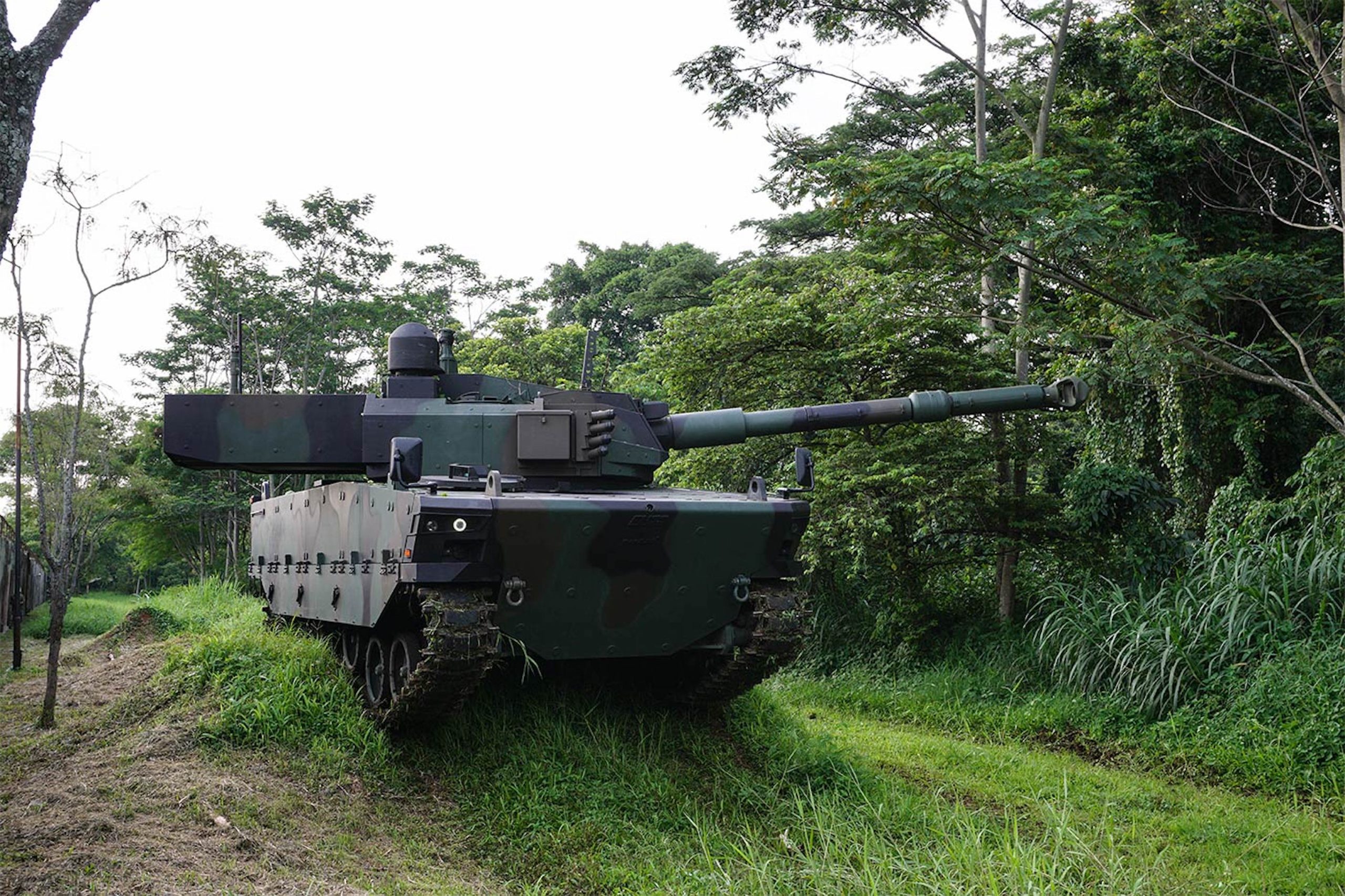 TNI-AD Harimau - European Security & Defence
